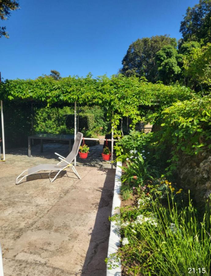 Hébergement de vacances Cap Corse Dans Un Nid De Verdure San-Martino-di-Lota