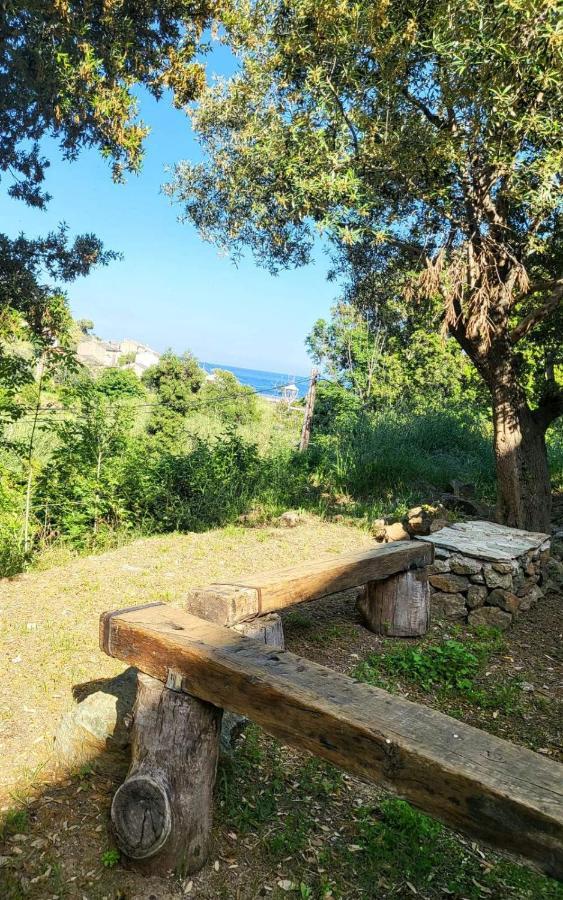 Cap Corse Dans Un Nid De Verdure Hébergement de vacances San-Martino-di-Lota